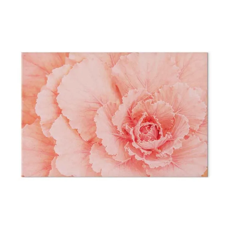 Delikat blomma - subtil växt i naturlig rosa färg