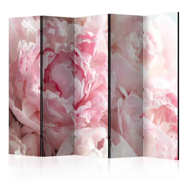 Söta pioner II - rosa blomblad på bakgrund av solstrålar
