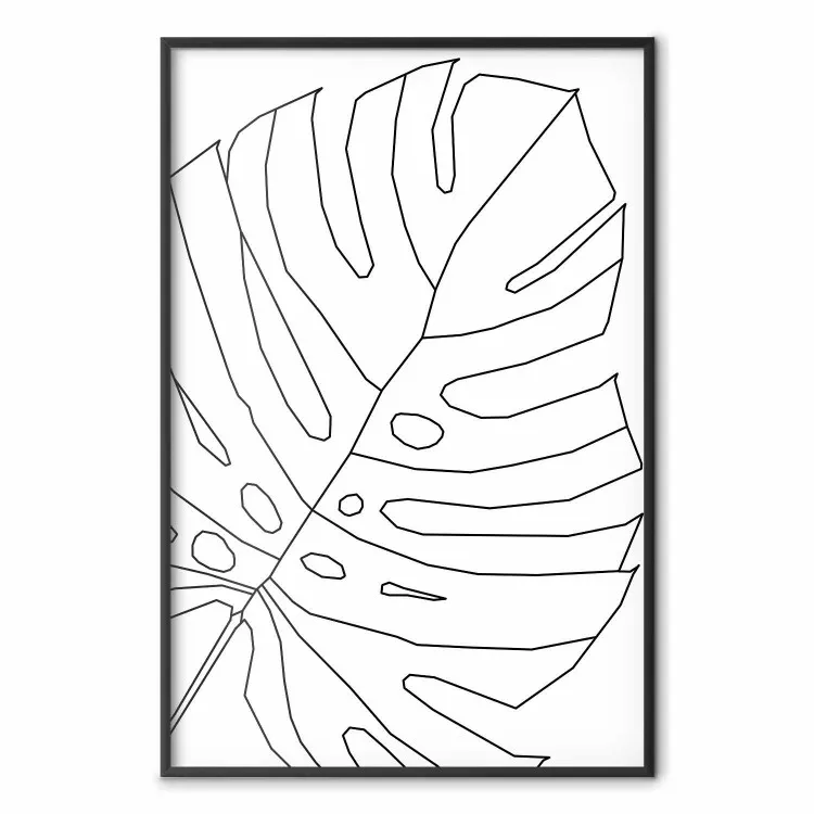 Monstera-ritning - svartvit linjeart av monstera-blad på vit bakgrund