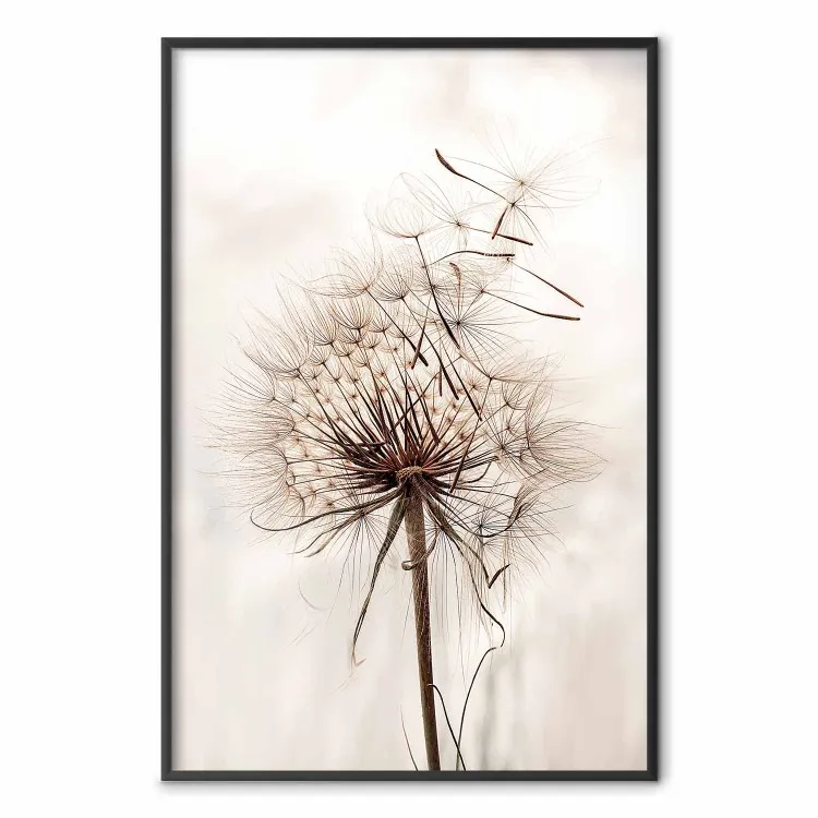 Magnetisk puff - maskrosblomma i vind i sepiafärger