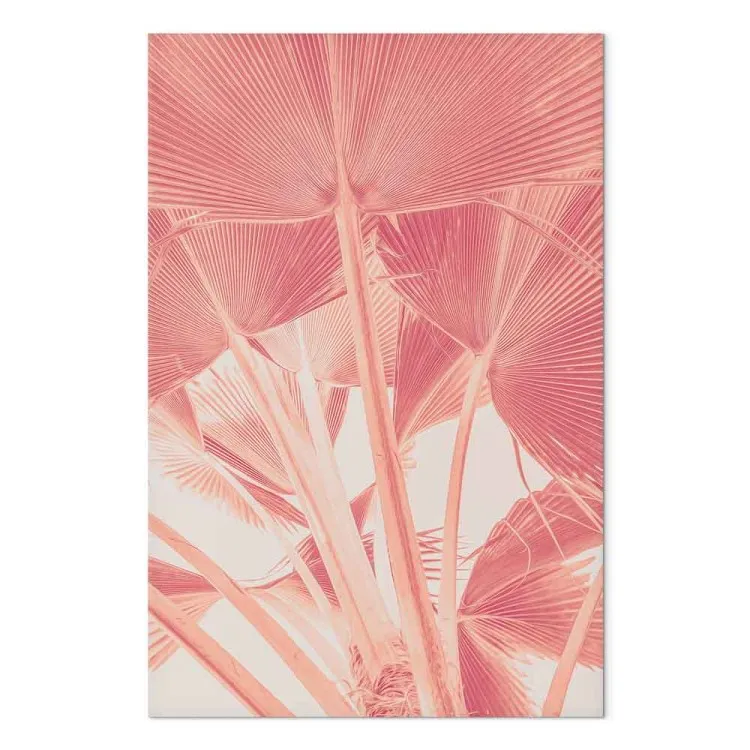 Rosa palm - en överexponerad bild av palmblad i rosa färg.