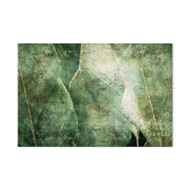 Stora blad - rubbad bild av blad på en exotisk växt