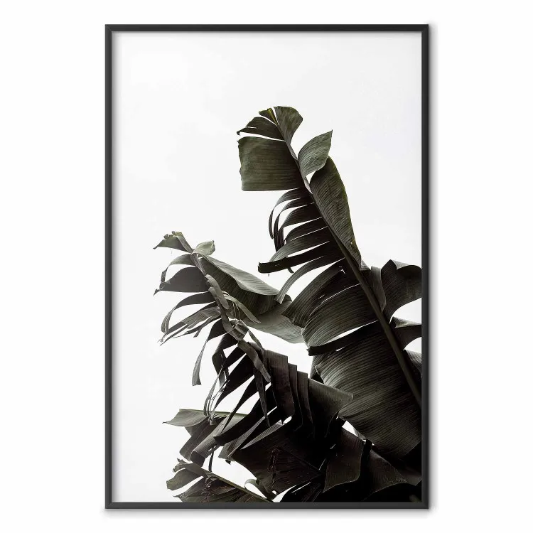 Tropisk bukett - naturligt arrangemang av gröna blad