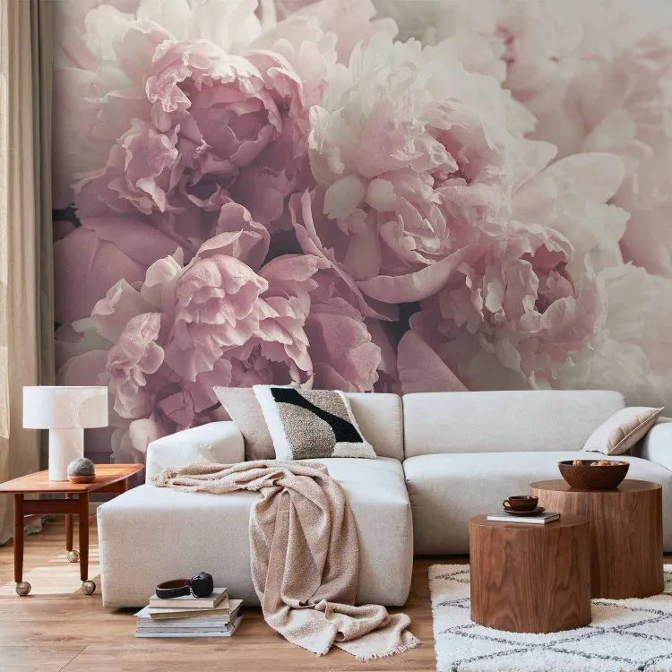 Komposition med blommor av blommade pioner - växtmotiv