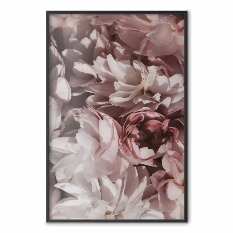 Bukett av pastellrosa blommor - konstnärlig närbildsfotografi