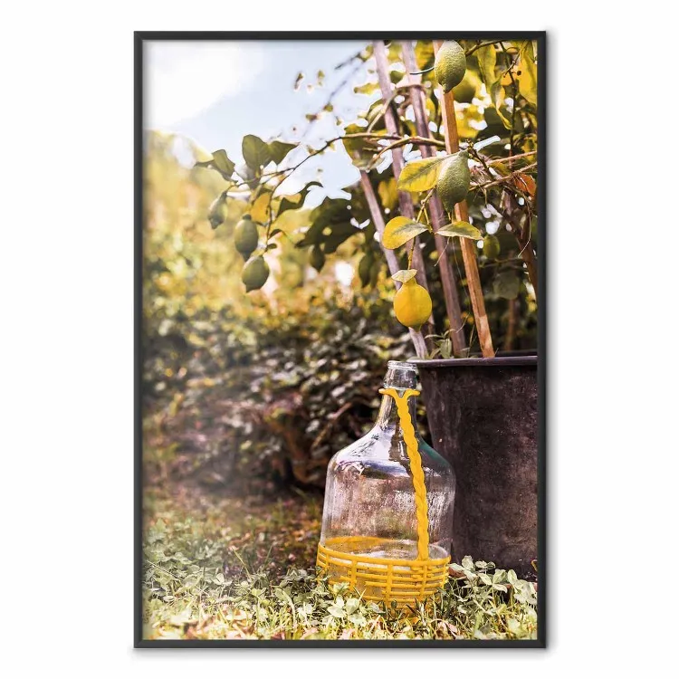 Citronskörd - varmt naturmotiv med växter