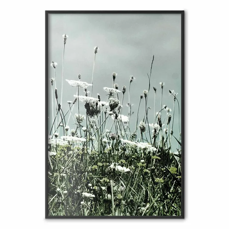 Midsommartid - blomsterängslandskap och molnig himmel