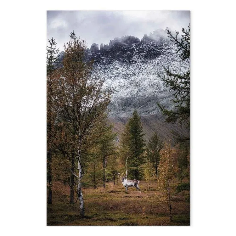 Höstgäst (1-del) vertikal - skogslandskap med utsikt över bergen