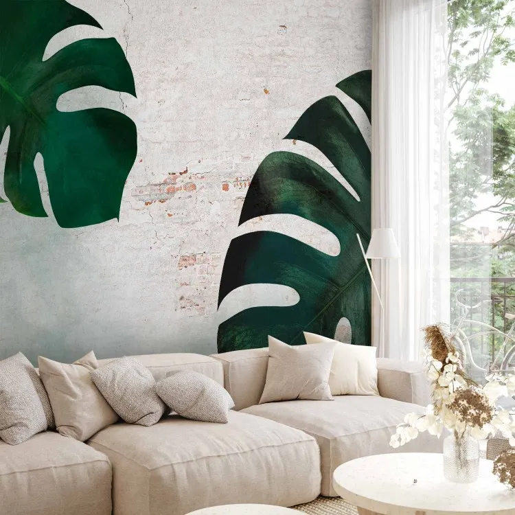 Exotiska blad - komposition med en monstera 