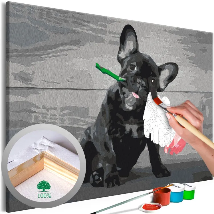 En förälskad hund - en söt fransk bulldogg med en ros i munnen