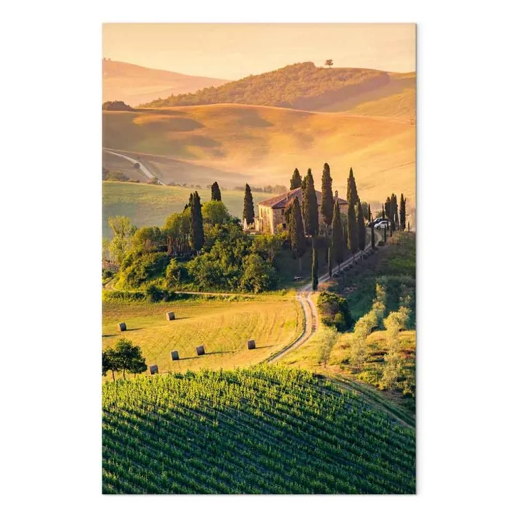 Sunny Fields of Tuscany - Landscape Photography at Sunset