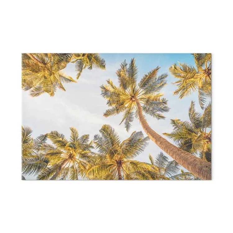 Palmtoppar - tropiska träd mot en ljus himmel