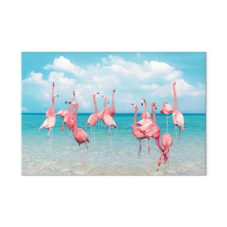 Tropiska flamingos - fåglar i klart vatten under en blå himmel